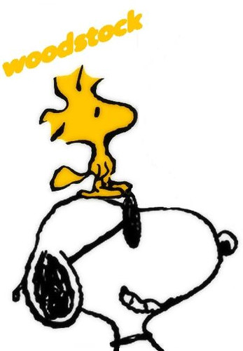 Plaatje bij antwoord