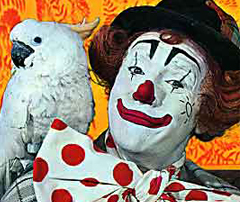 Plaatje bij antwoord