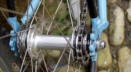 Picture for question