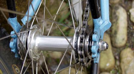 Picture for question