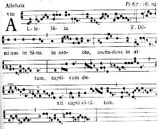 Picture for question