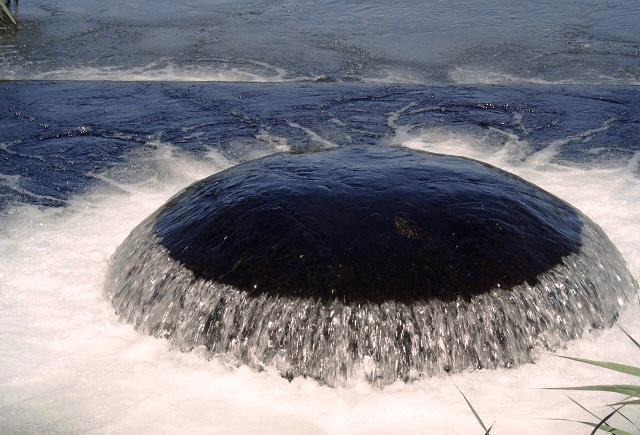 Picture for question