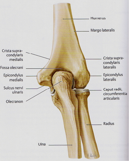 Plaatje bij antwoord
