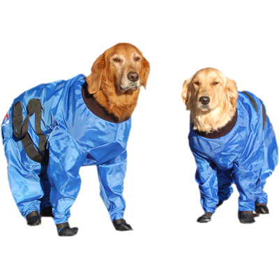 Plaatje bij antwoord