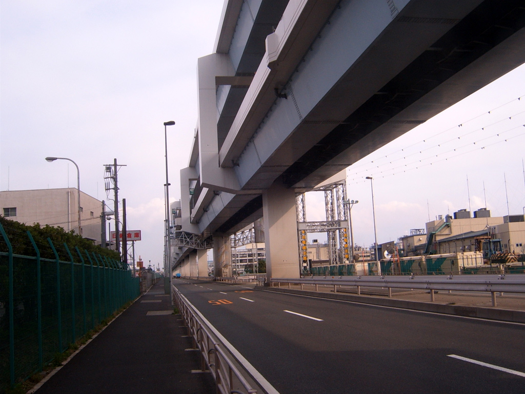 Picture for question