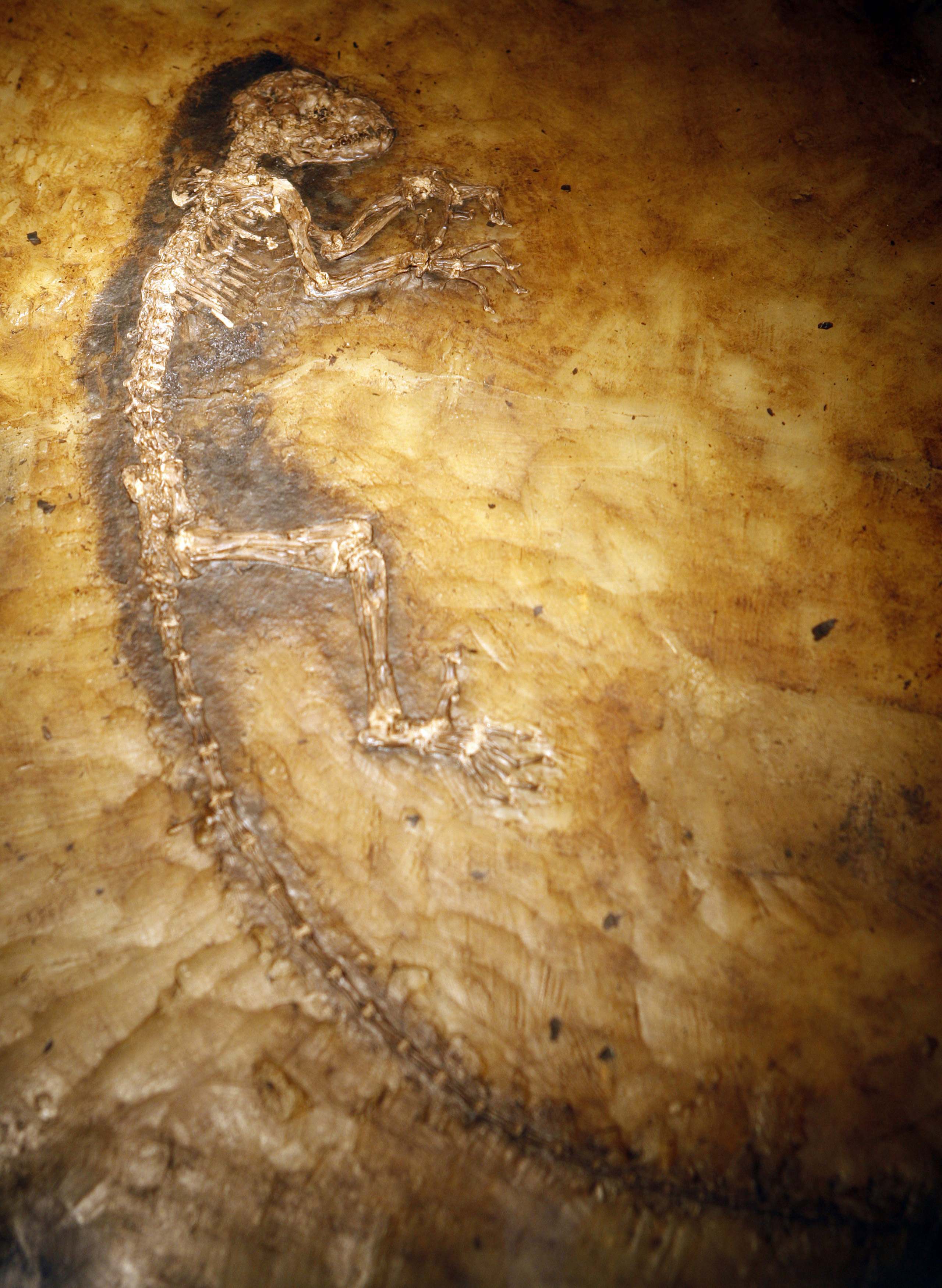 Plaatje bij antwoord