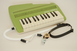 Picture for question