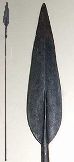 Picture for question