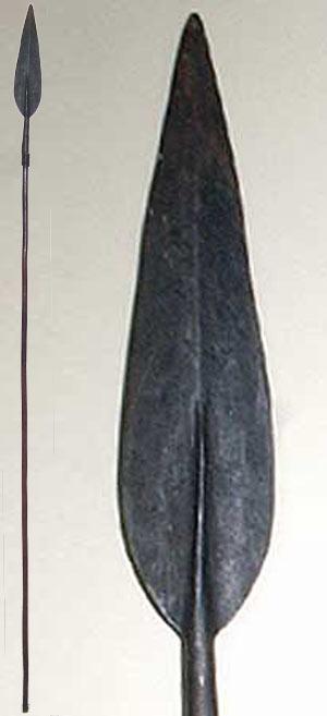 Picture for question