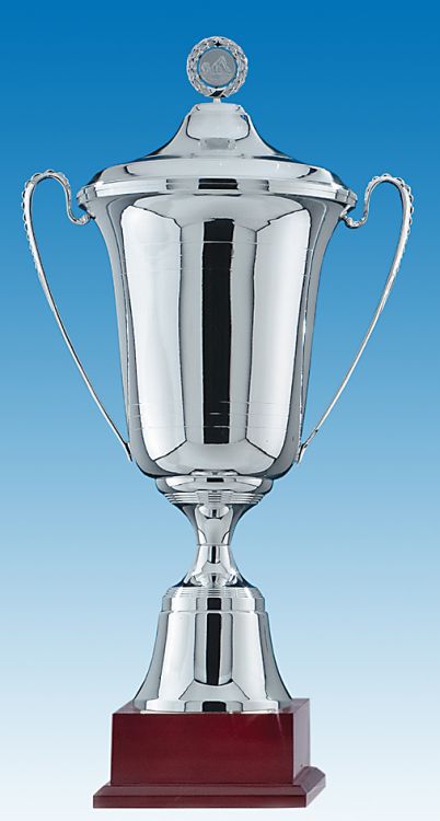 Plaatje bij antwoord