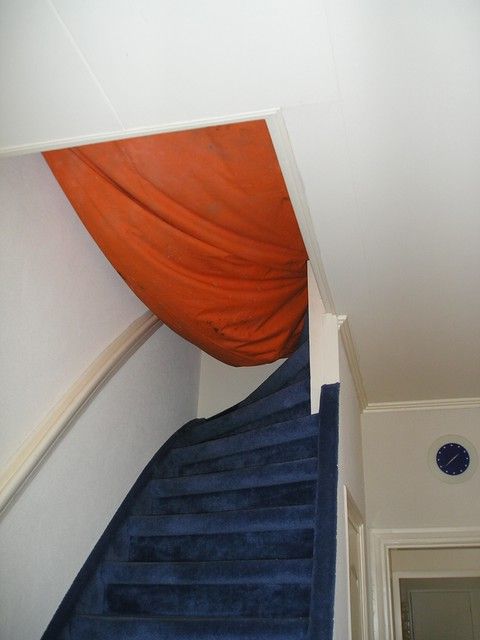 Picture for question