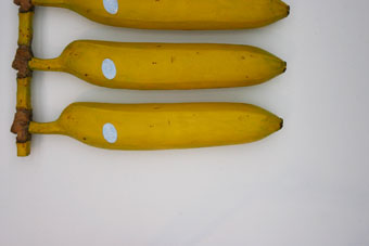 Plaatje bij antwoord