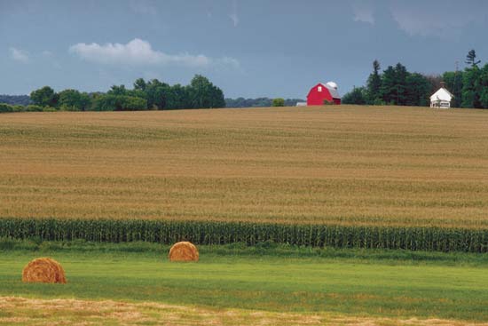Plaatje bij antwoord