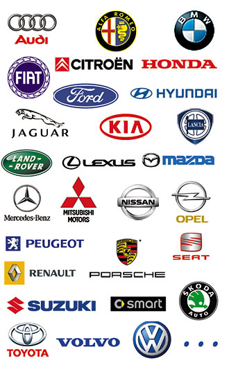 Picture for question