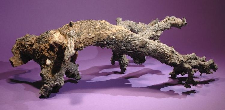 Plaatje bij antwoord