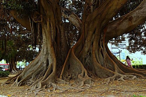 Plaatje bij antwoord