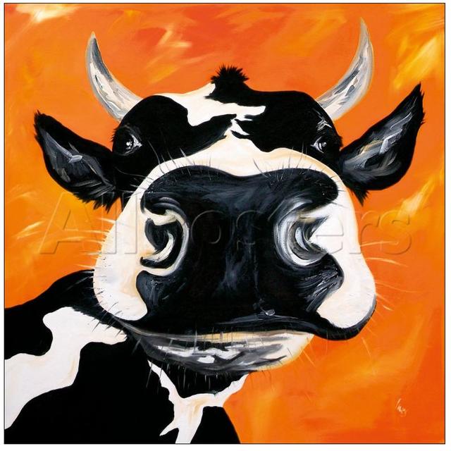 Plaatje bij antwoord