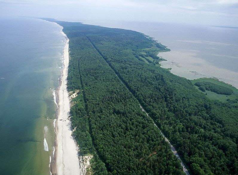 Picture for question