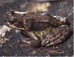 Plaatje bij antwoord