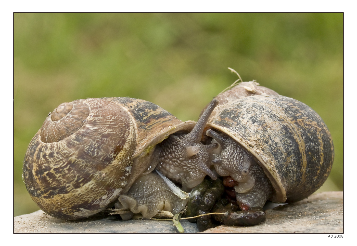 Plaatje bij antwoord