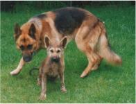 Plaatje bij antwoord