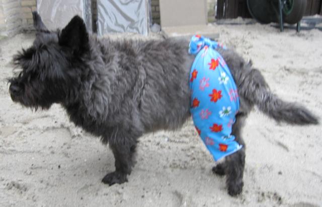 Plaatje bij antwoord