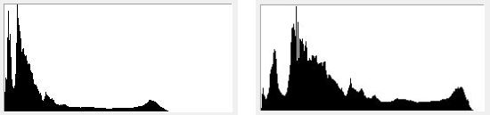 Picture for question