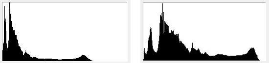 Picture for question