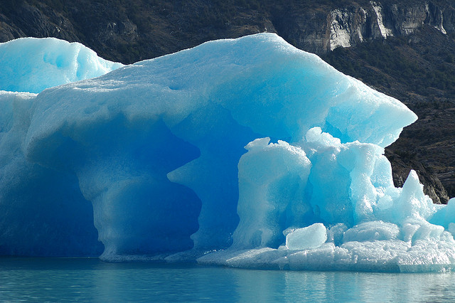 Picture for question