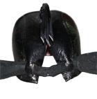 Plaatje bij antwoord