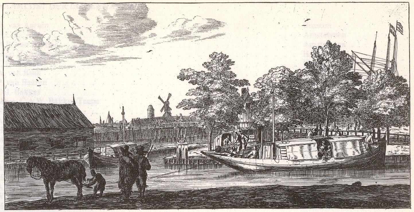 Picture for question