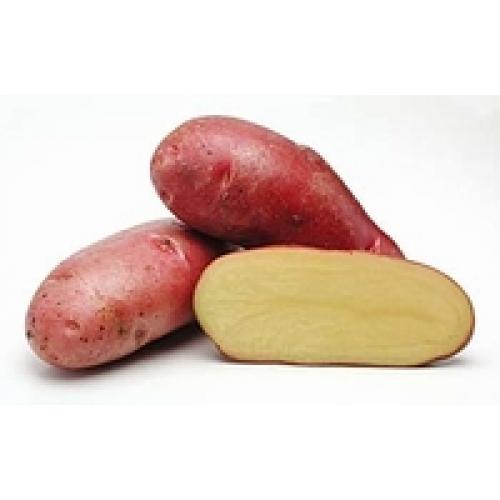 Plaatje bij antwoord