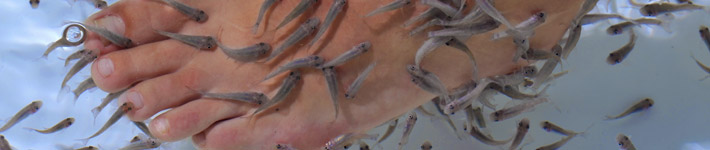 Plaatje bij antwoord