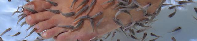 Plaatje bij antwoord