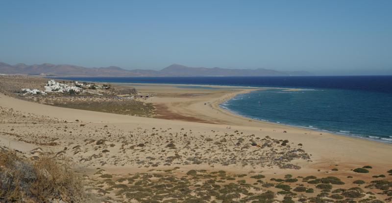 Picture for question