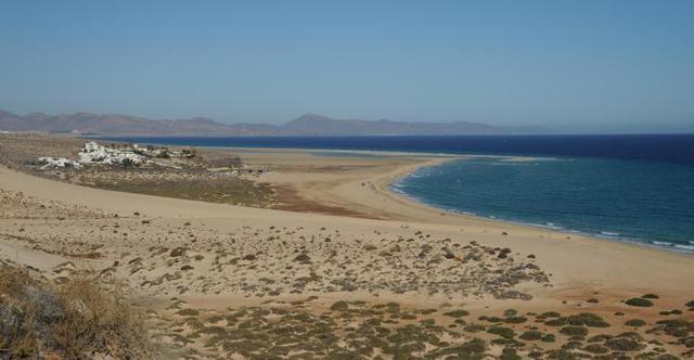 Picture for question