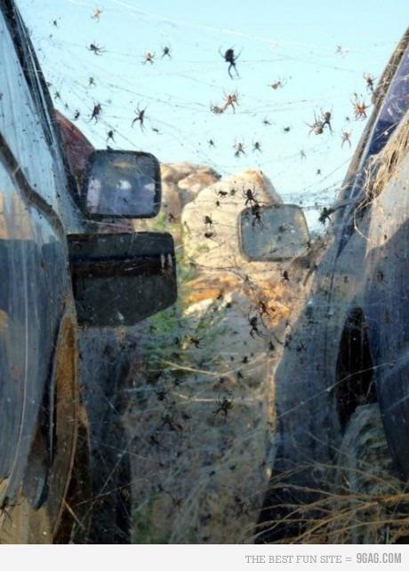 Plaatje bij antwoord