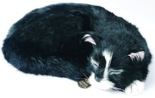 Plaatje bij antwoord