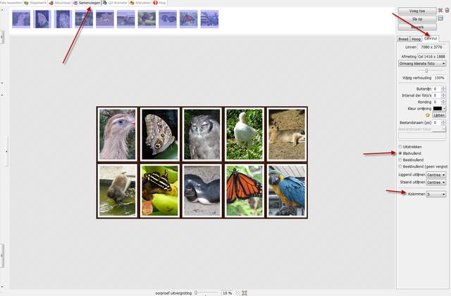 Plaatje bij antwoord