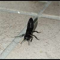 Plaatje bij antwoord