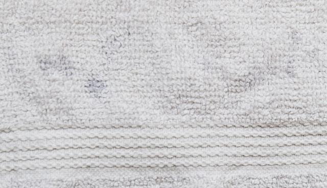 Picture for question