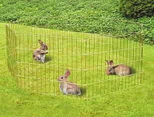 Plaatje bij antwoord