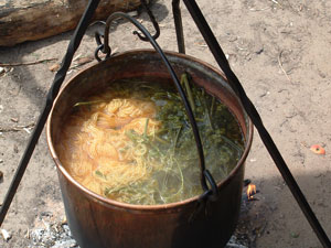 Plaatje bij antwoord