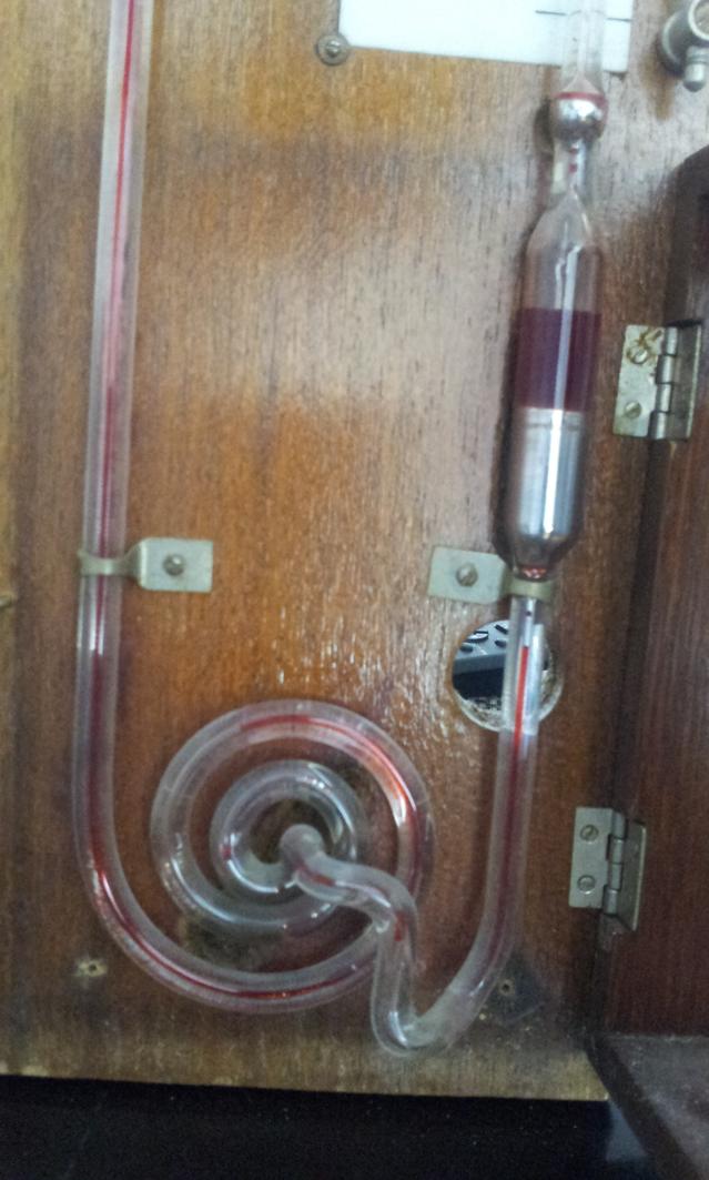 Picture for question