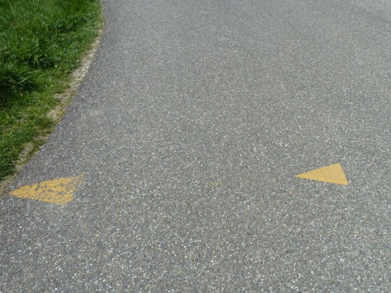 Picture for question