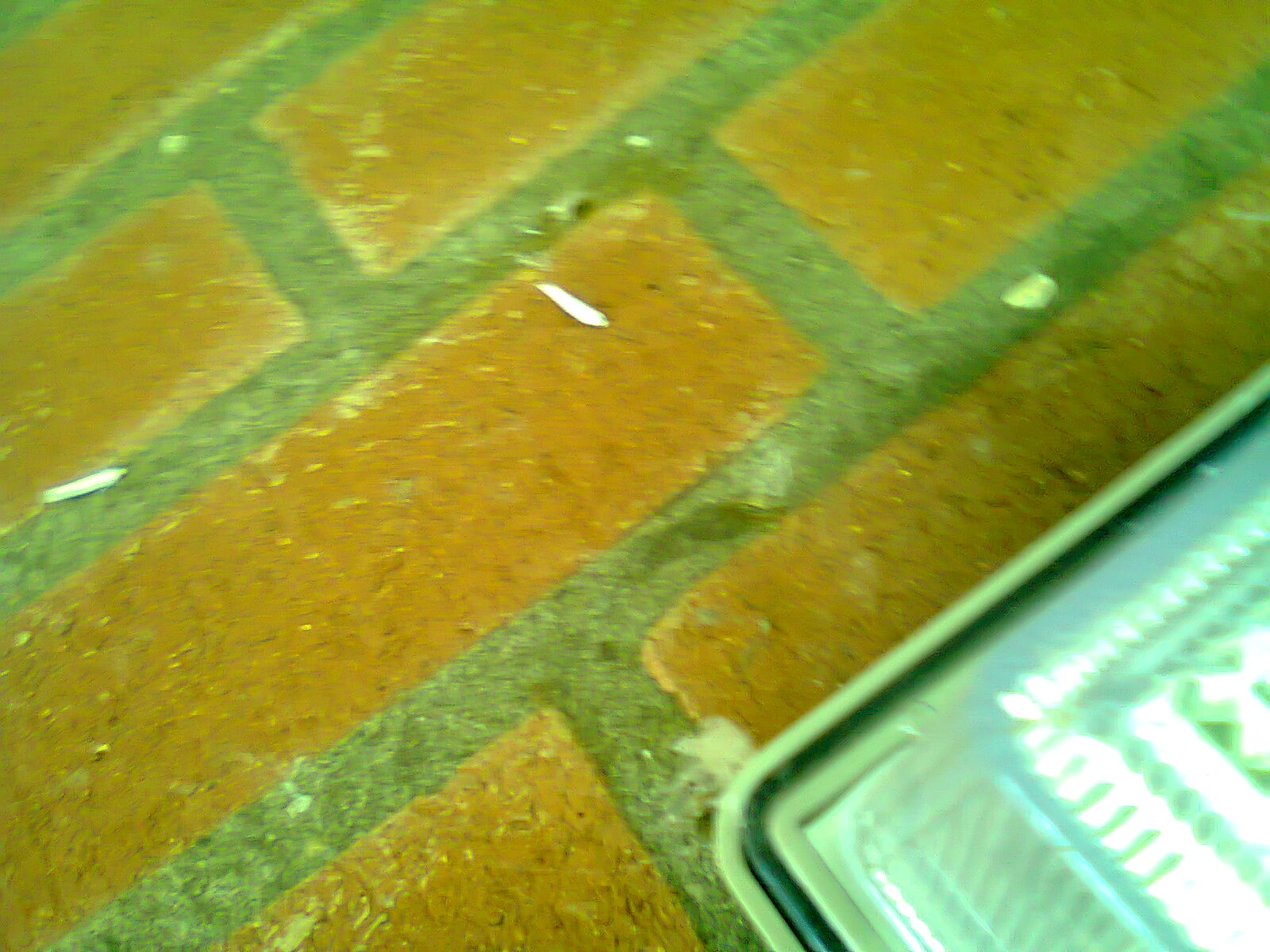 Picture for question