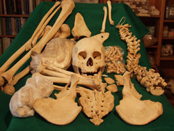 Plaatje bij antwoord