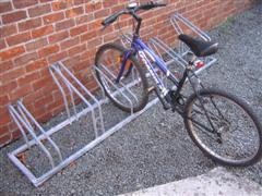 Picture for question