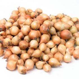 Plaatje bij antwoord