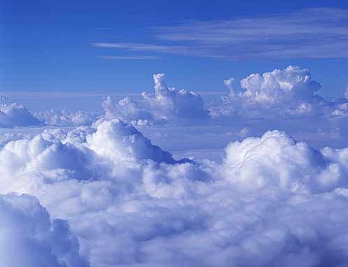 Picture for question